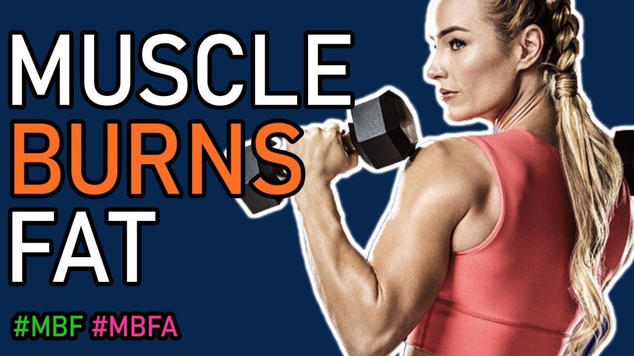 Muscle Burns Fat Muscle Burns Fat Advanced Results And Review MBF 