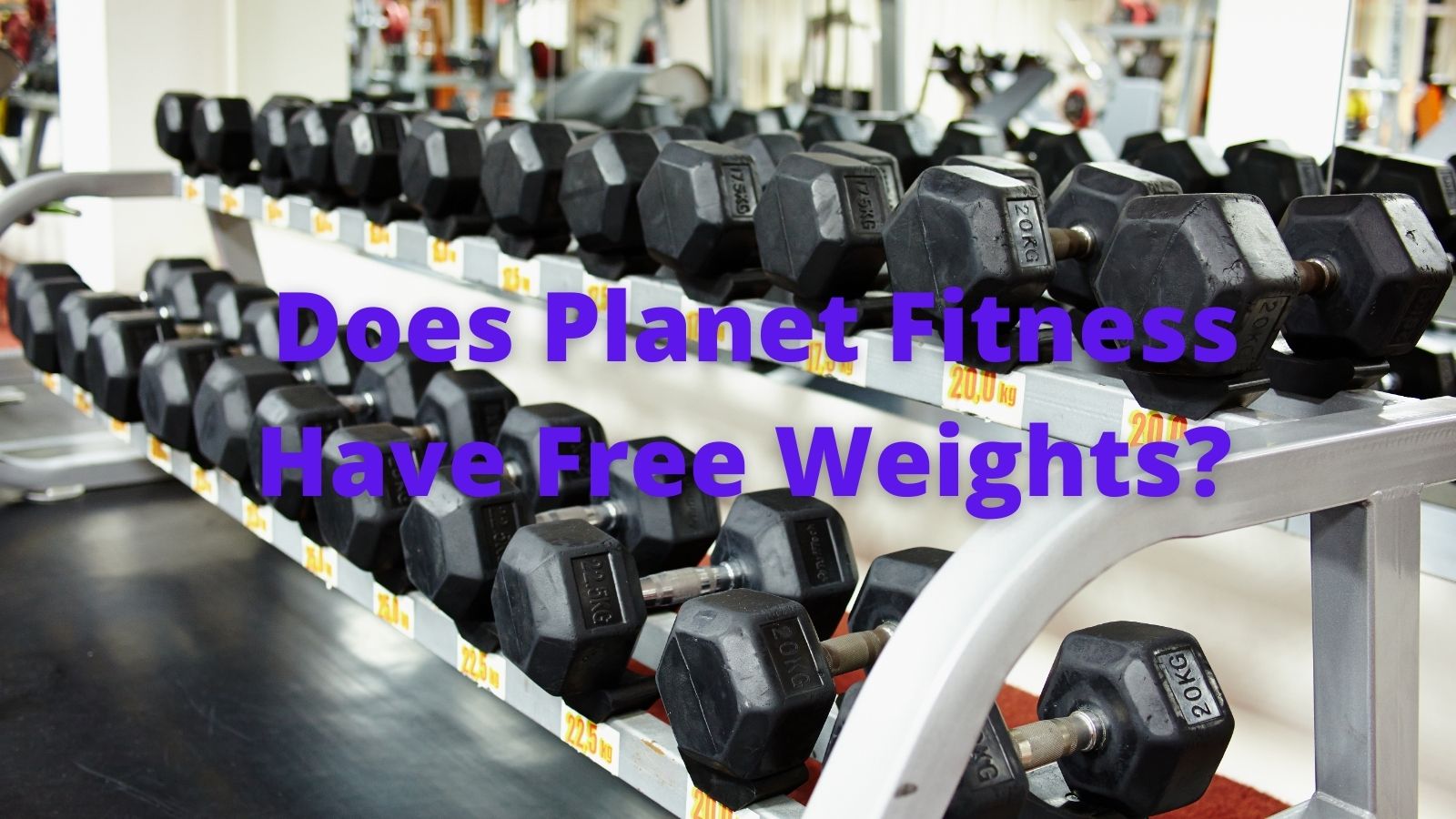 Does Fitness Have Free Weights?