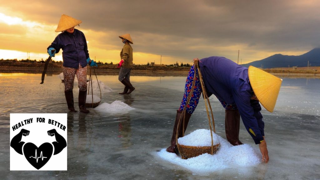 sea salt being cultivated