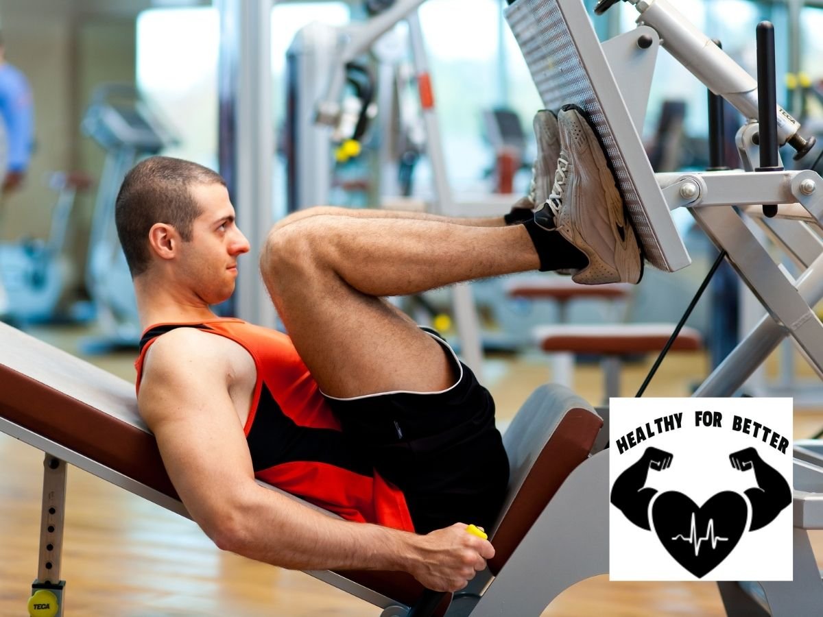How Much Should I Leg Press? (Leg Press Lifting Standards) Healthy For Better Beachbody